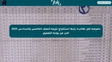 «فرصة لكل طالب» رابط استخراج نتيجة الصف الخامس والسادس 2025 الآن من بوابة التعليم